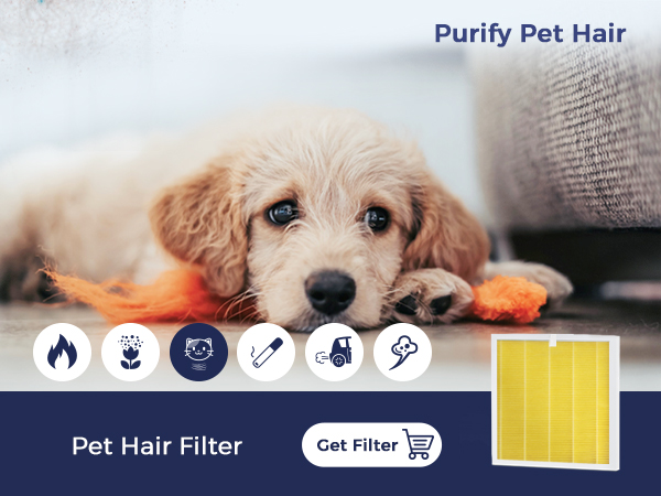 Pet Filter