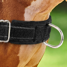 dog harness no pull heavy duty large medium