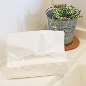 Amazon.co.jp: とにかくシンプル ティッシュ ソフトパック 200組