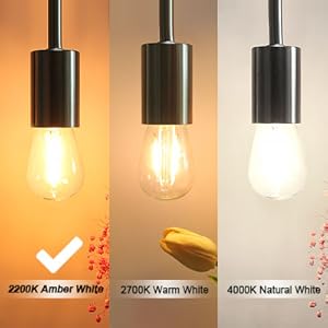2200K Amber White Lightbulb