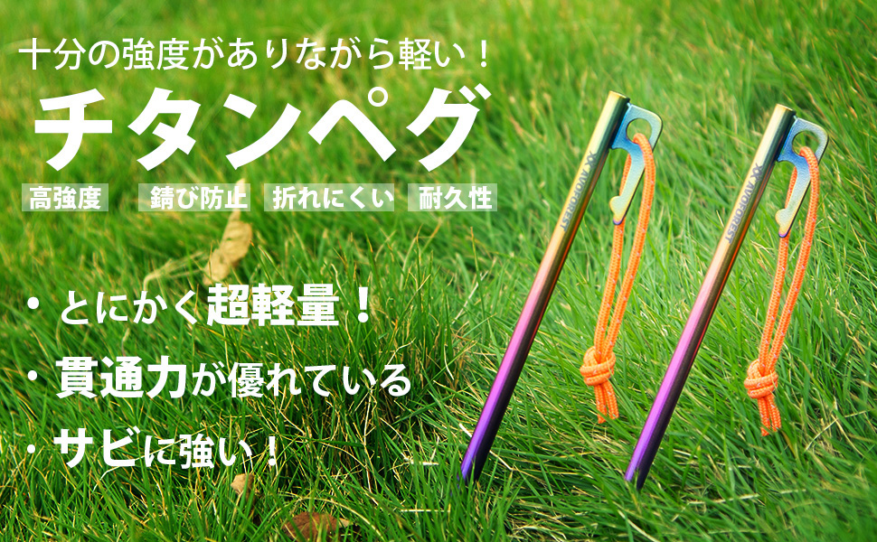 チタンペグ 30センチ1１本セット 楽天市場】チタンペグ 30cmの通販