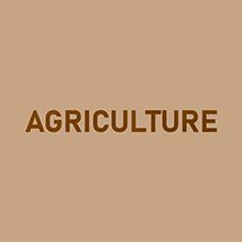 Small manufacture image 8