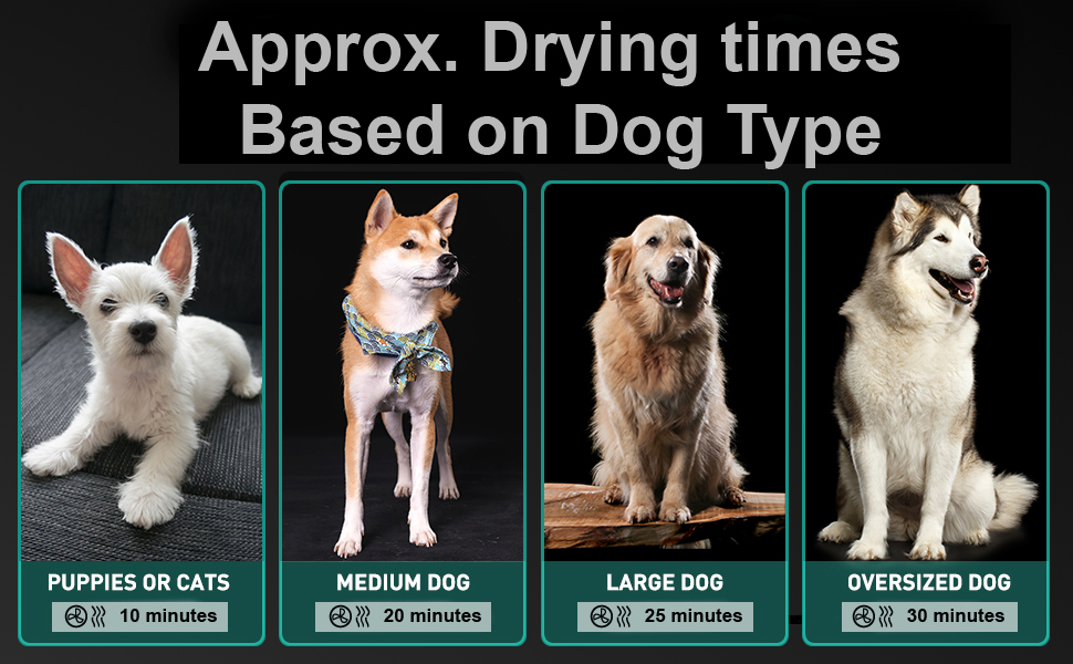 My Pet Command 110V Dog Hair Force Dryer Professional High