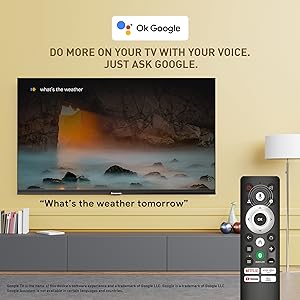 Panasonic Television, TH-32MS660DX, Voice Assistant