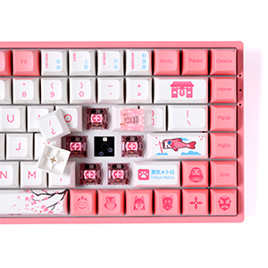 Akkoです。 Amazon.com: Akko Magnetic Switches Rapid Trigger Gaming
