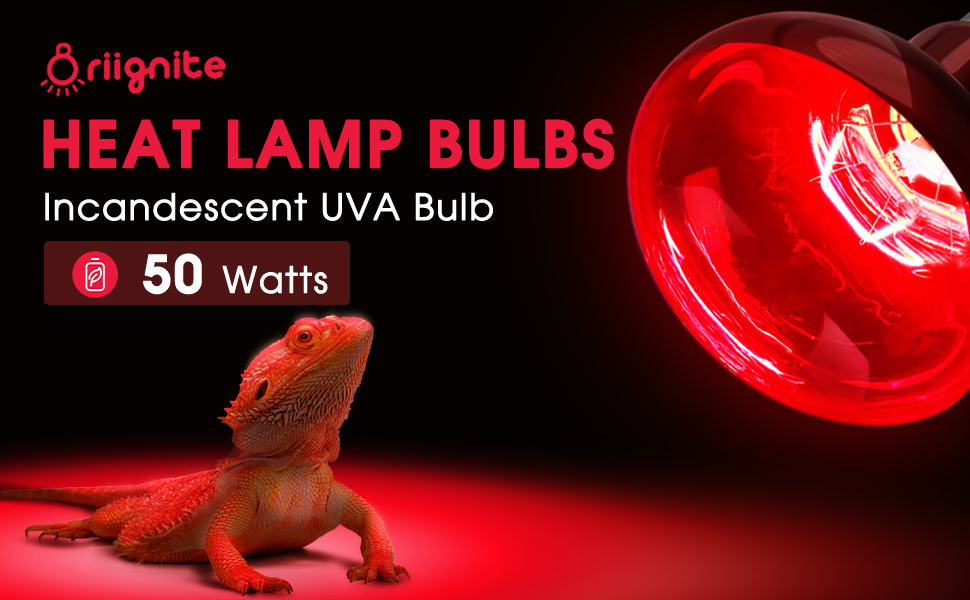 Briignite Heat Lamp Bulbs, UVA Reptile Light, Red Heat Lamp