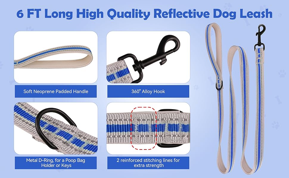 martingale collar and leash set