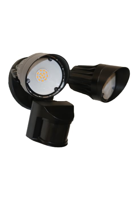 security light with motion sensor