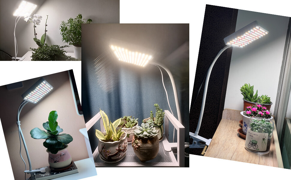 JINHONGTO Plant Light for Indoor Plants, 204pcs LEDs Full Spectrum Grow