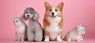 pETS
