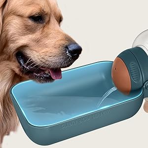 pet water bottle