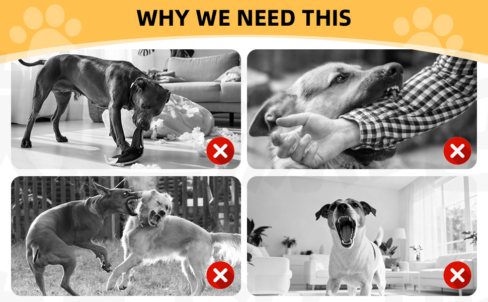 Lightweight & Reliable