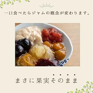 ごろごろ果物じゃむ¨̮⃝無添加 ごろごろ果物じゃむ¨̮⃝無添加 Amazon.co.jp: 果実そのまま