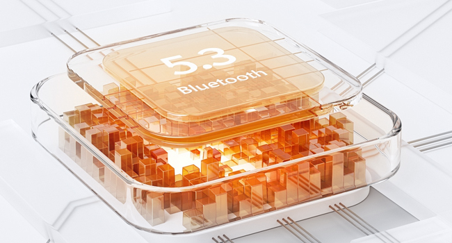 Bluetooth Wireless Earbuds