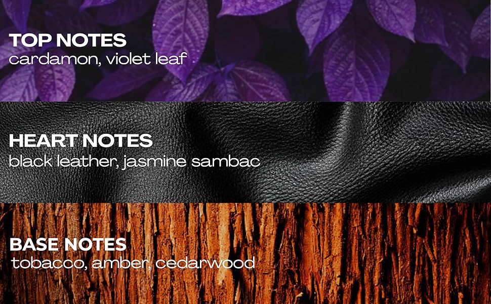 fragrance notes