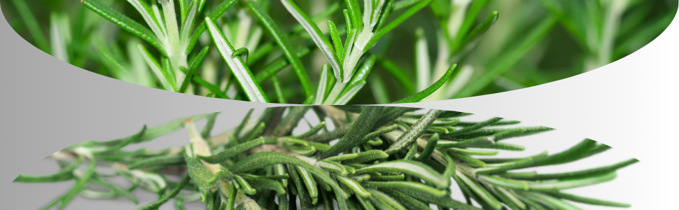 Large manufacture image 6