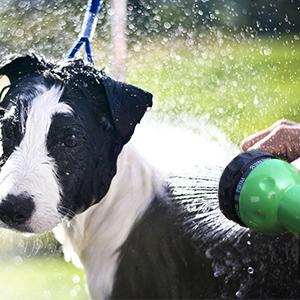 Small manufacture image 6