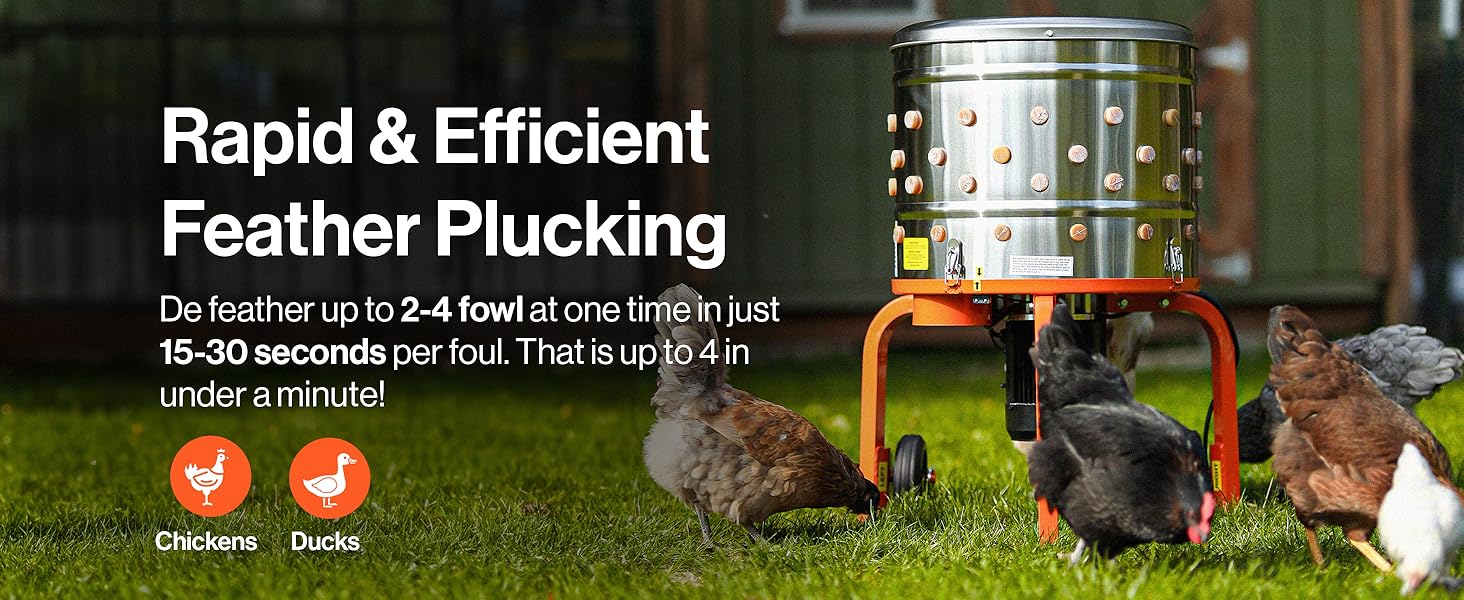 Text reads 'Rapid & Efficient' and 'Feather Plucking'. Demonstration sequence showing a tool being used on what appears to be food preparation or processing.