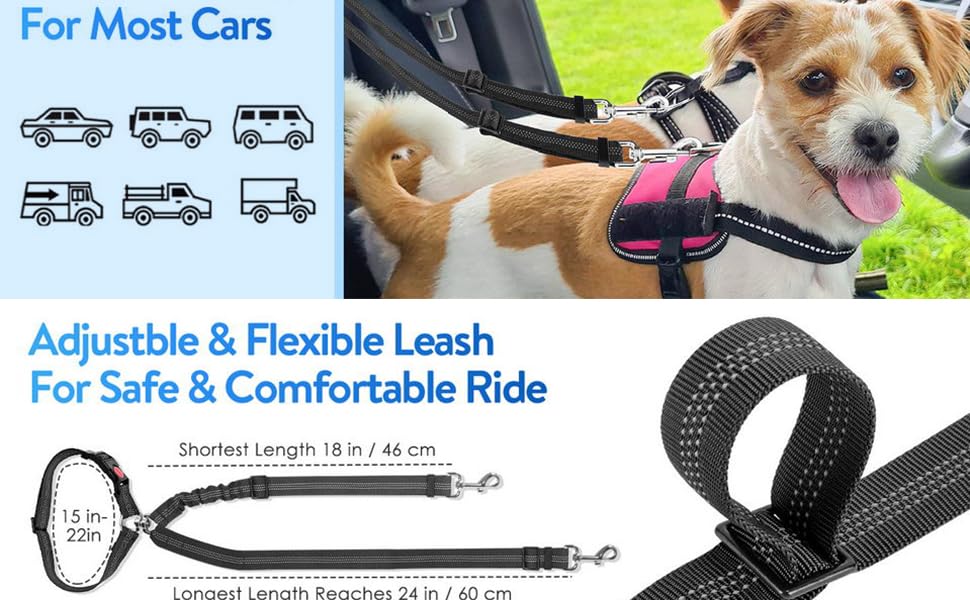 Dog Seat Belt
