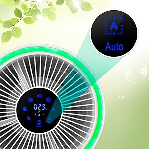 Air Purifier