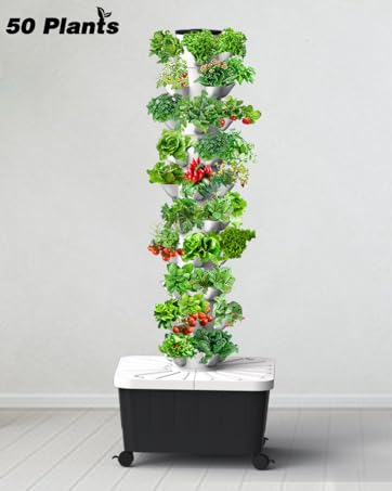 botanical☆ Amazon.com : Sjzx Hydroponic Growing System(No Seedlings