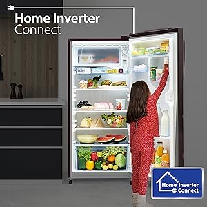 Home Inverter Connect