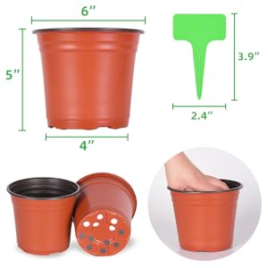 Plastic Plants Nursery Pot