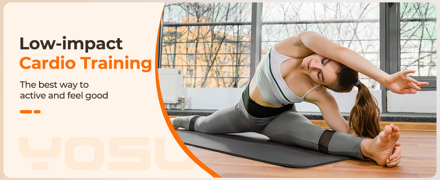 exercise bikes for adults