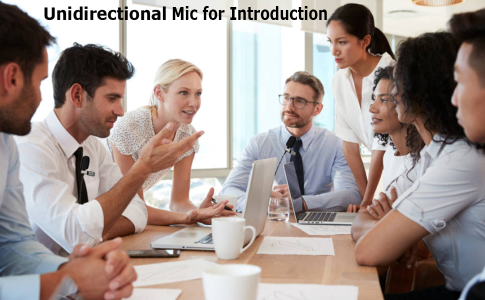 Unidirectional Mic for Introduction