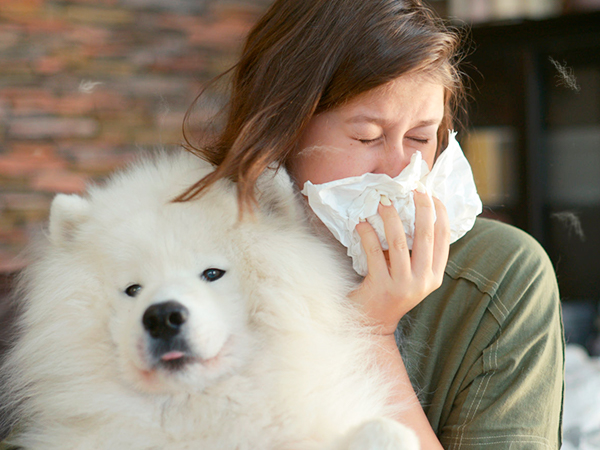  dog cat air purifier