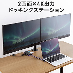 Amazon | サンワダイレクト Type-C ドッキングステーション 2