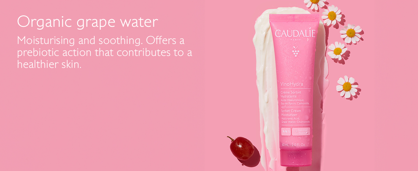 VinoHydra Sorbet Cream Moisturizer - 60 mL