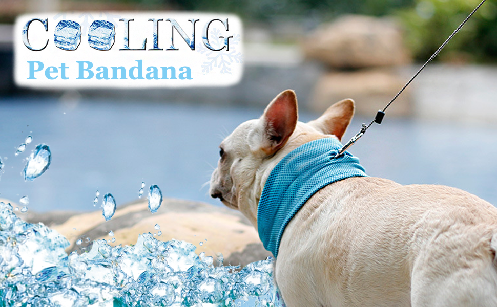 Dog Instant Cooling Bandana, Breathable Pet Scarf Cooling