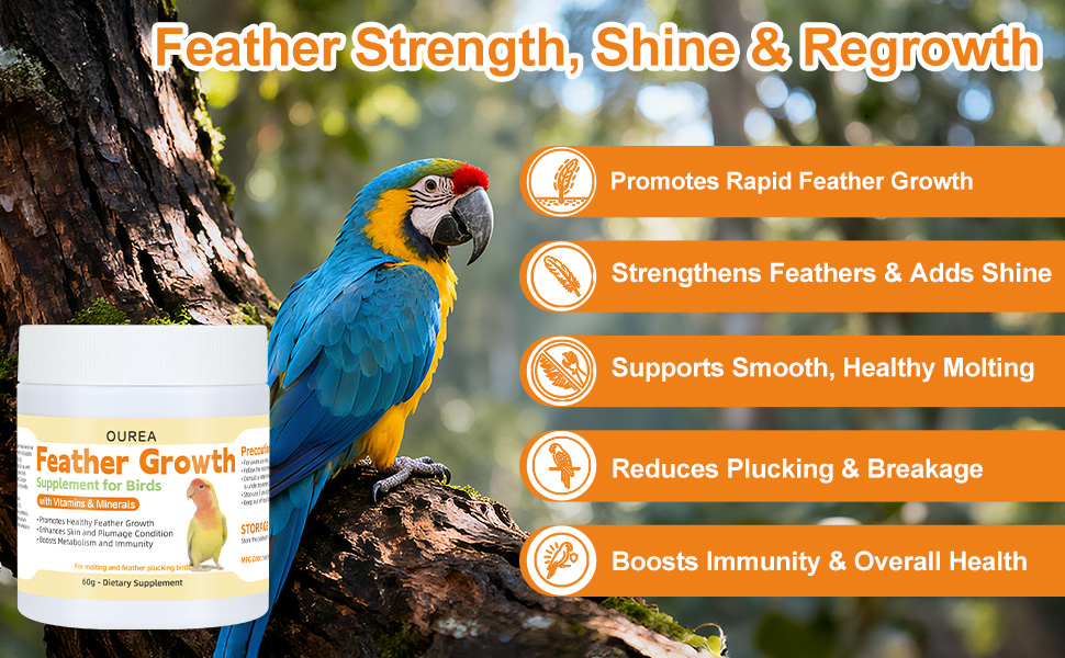 parrot feather repair powder