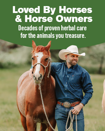 Silver Lining Herbs for Horses Brand Story Carousel horse supplement horse feed horse health