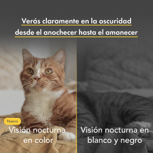 Cat FaaS_Visão Noturna