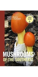 洋書 Mushrooms 100 Writing and Crafting Papers of Mushrooms (PIE 100