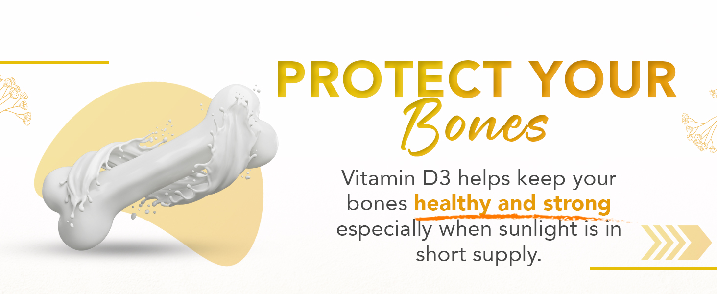 vitamin d bone support