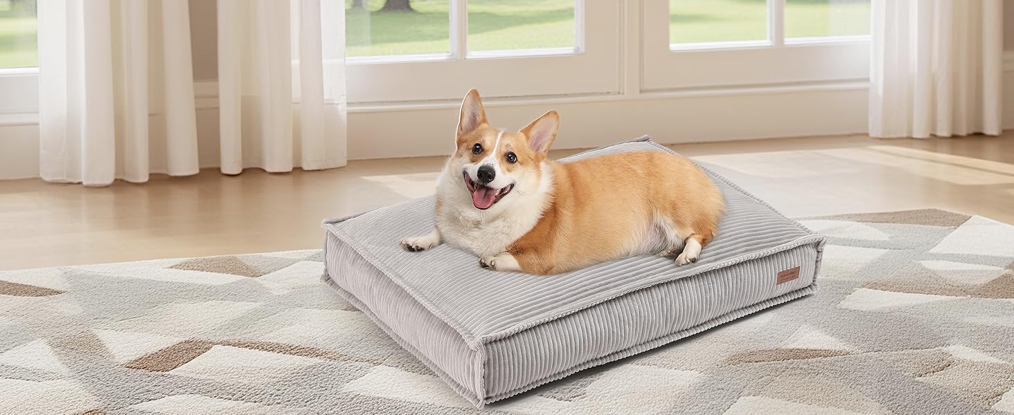 dog mat