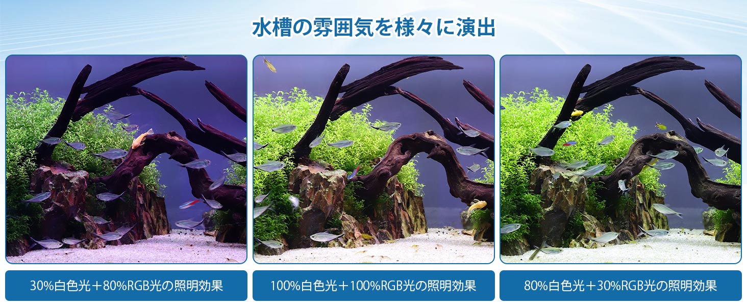 水族館ライト、小型、水族館ライト、水族館ライト、水族館 LED 照明