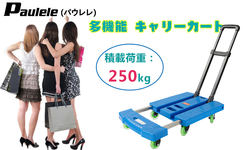 キャリーカート