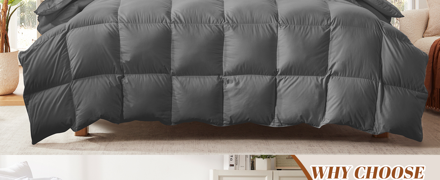 Cosybay King Size Ultra Fluffy Feather Down Comforter - All Season Luxury Bedding for Adults
| Cosybay 100% Cotton K 813cb5e0 E75c 4c95 B52c F0738bd7fff1. CR0,0,1464,600 PT0 SX1464 V1