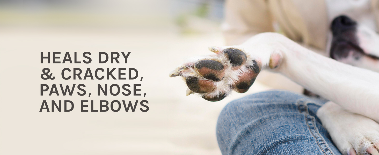 Heals dry and cracked paws and nose and elbows