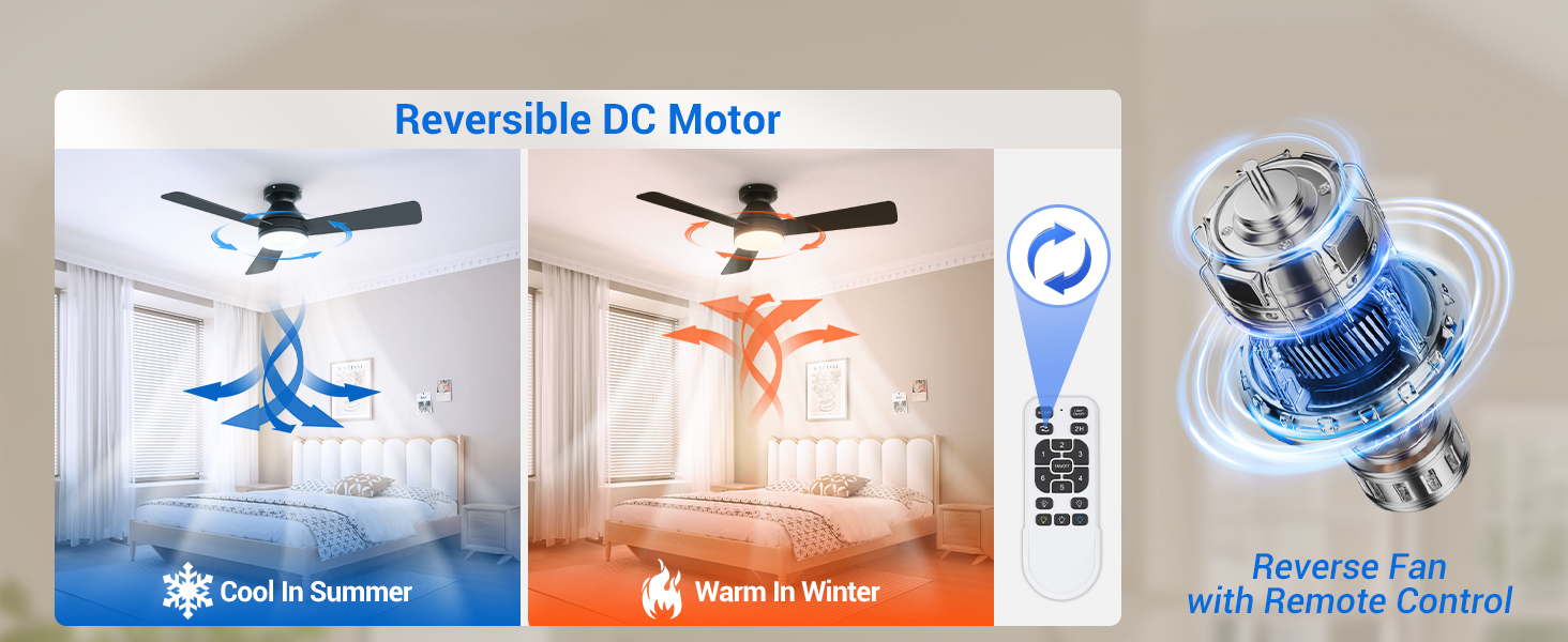 celling fan with lights