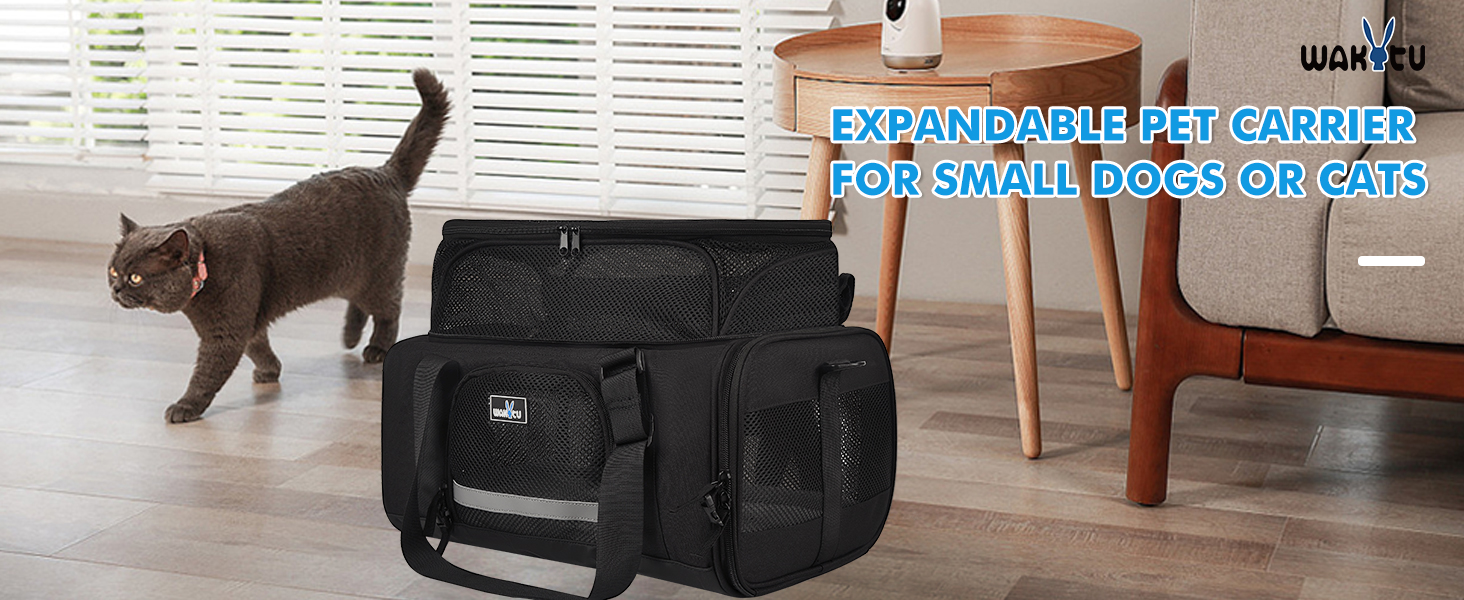 airline approved pet carrier