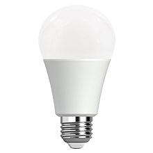Bulb Included