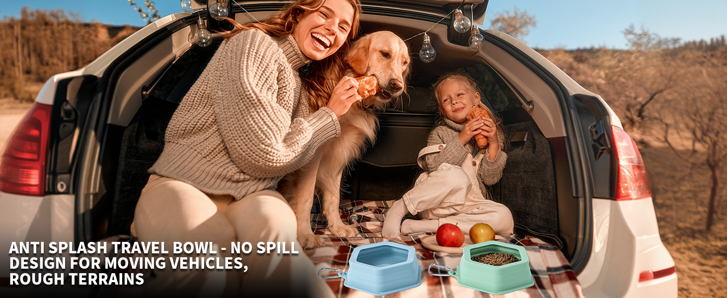 spill proof dog bowl