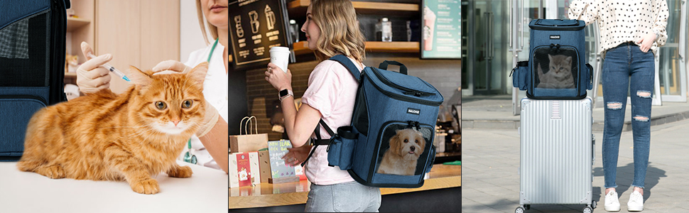 dog backpack