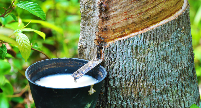 BELEVO Long Resistance Bands Set Men Women