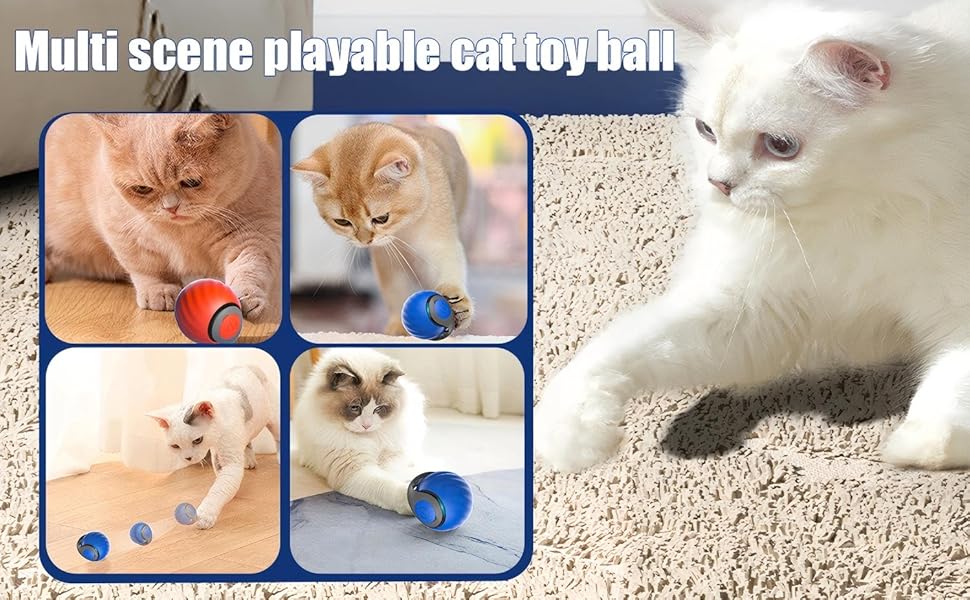 cat toys,cat toy,cat toys for indoor cats,interactive cat toy,interactive cat toys